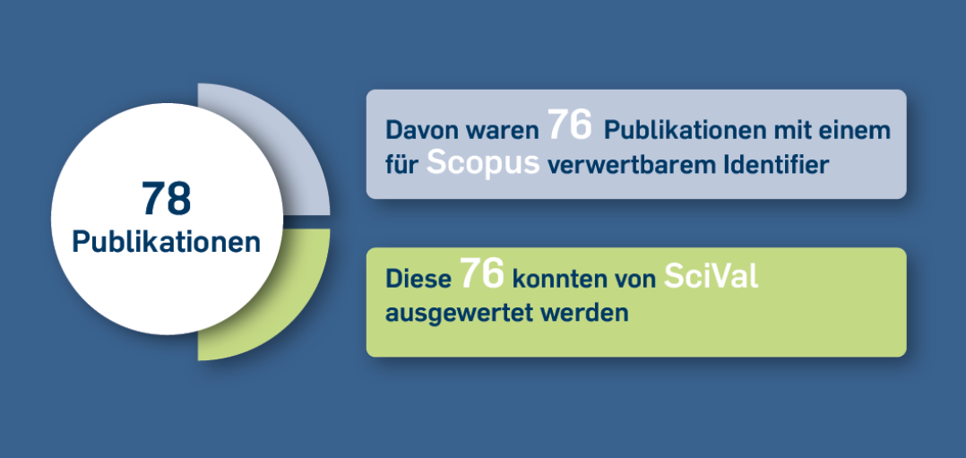 Ausgewertet wurden die Publikationen im SPP